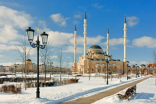 beige and black dome mosque photo during daytime